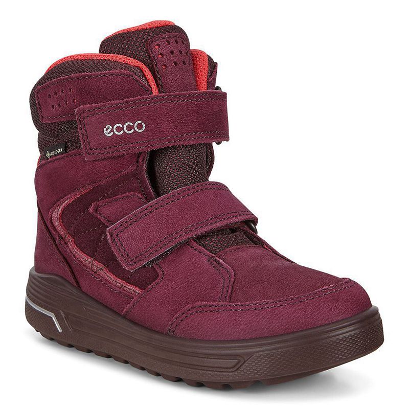 Botas Ecco Urban Snowboarder Para Niños,Moradas,346970-UFT